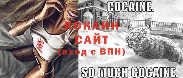амф Балахна