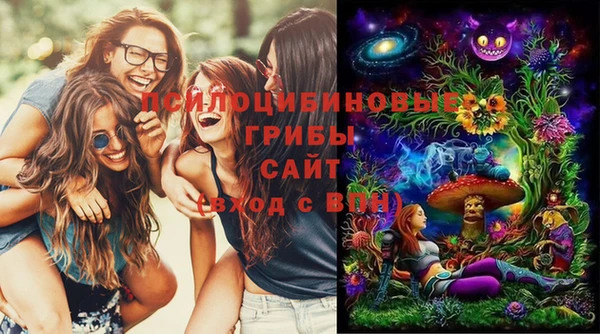 винт Белокуриха