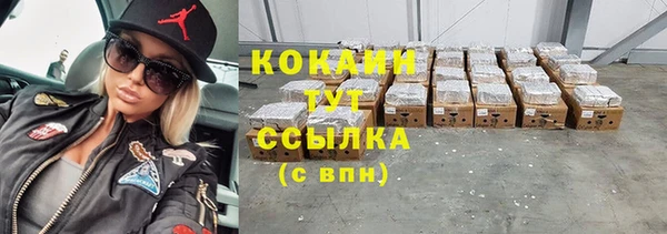 стаф Баксан
