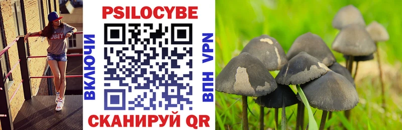 Псилоцибиновые грибы прущие грибы  Калининец 